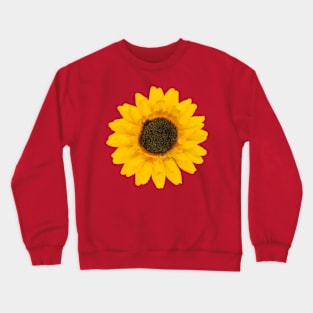 Sunflower Crewneck Sweatshirt